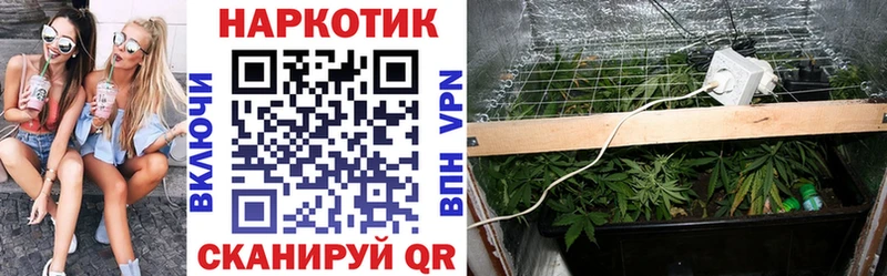 Купить Альфа ПВП Кокаин МЕФ Каннабис Рыбное
