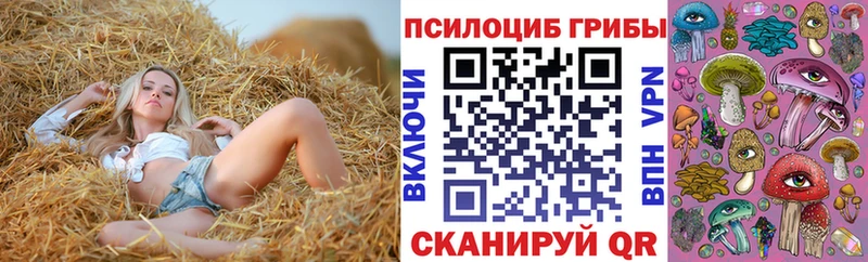 Псилоцибиновые грибы Psilocybine cubensis  Купить где  Рыбное 